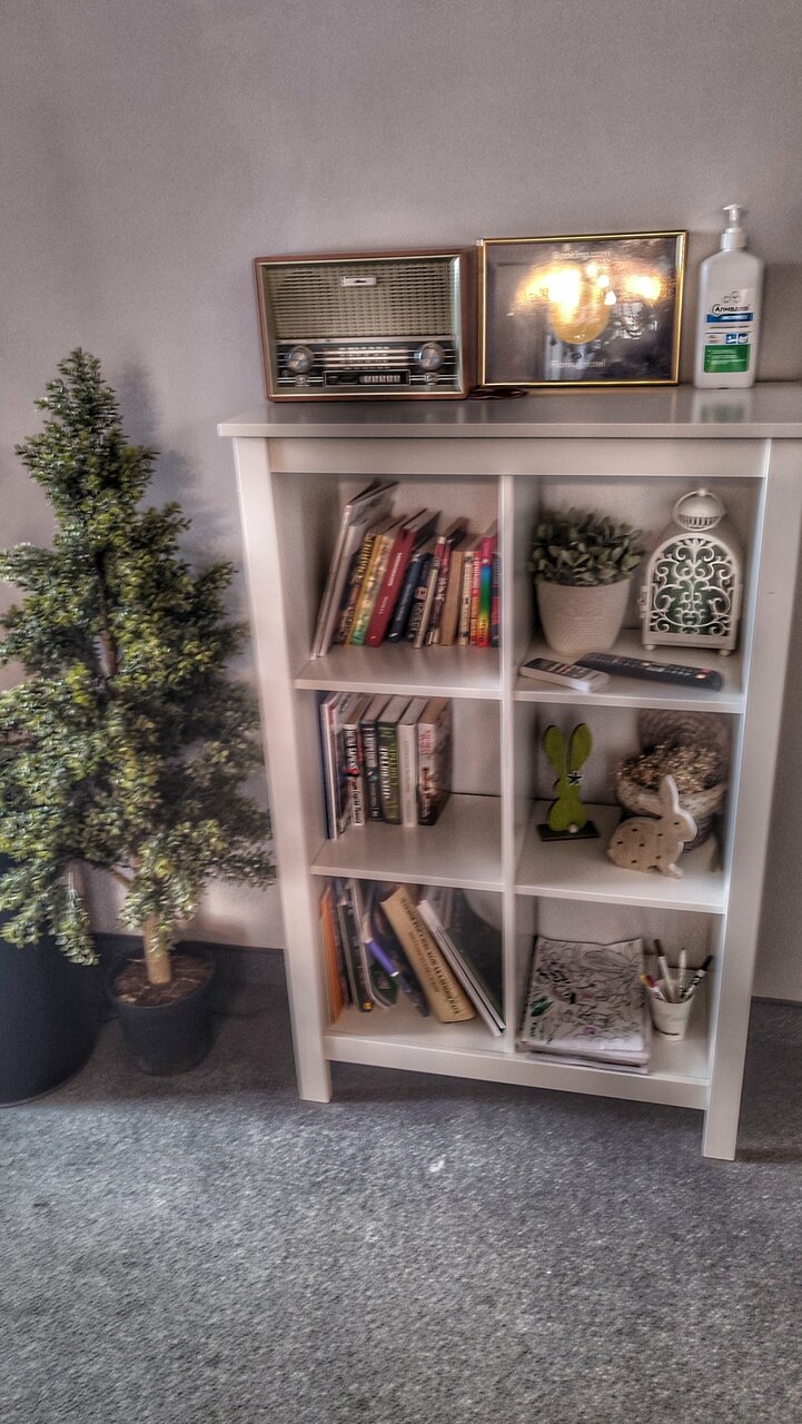 Гостиница Флоринн Москва-115