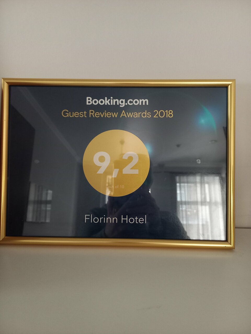 Гостиница Флоринн Москва-118