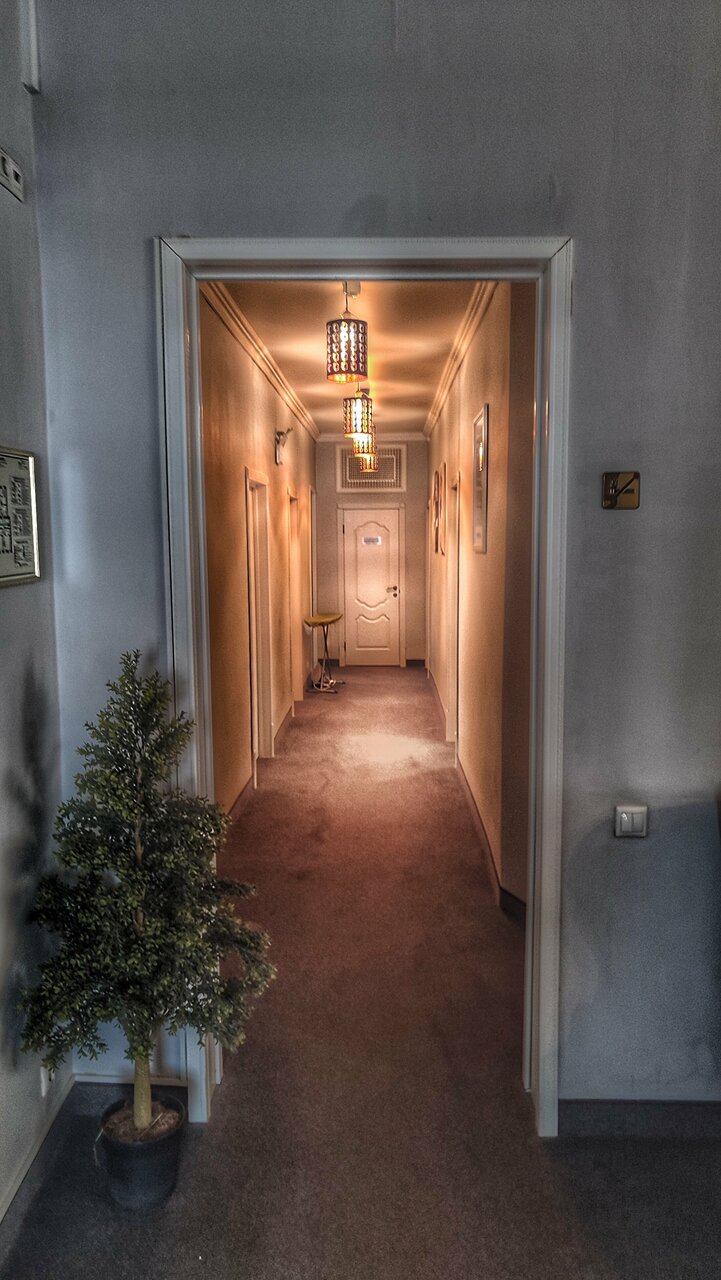 Гостиница Флоринн Москва-130