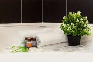 Гостиница Флоринн Москва СТУДИЯ С ДИВАНОМ-5